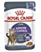 Appetite Control Care in Jelly Adult Wet Cat Food, 85g x 12 Pack