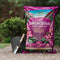 Ericaceous Planting & Potting Mix 25L