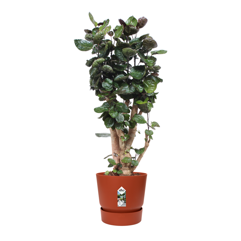 Greenville Round 47cm Pot - Brique