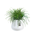 Pure 55cm Cone Plastic Indoor & Outdoor Plant Pot - White