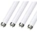 20W T4 Fluorescent Tube 550mm