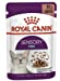 Royal Canin Sensory Feel In Gravy Adult Wet Cat Food, 85g x 12 Pack