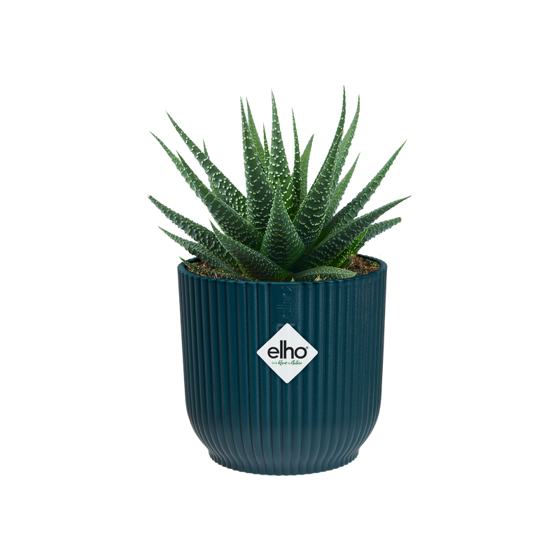 Vibes Fold 9cm Mini Round Plastic Indoor Plant Pot - Deep Blue