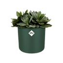 B.for Soft Round 16cm Pot - Leaf Green