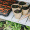Fibre Pots Round 8cm - 12 Pack
