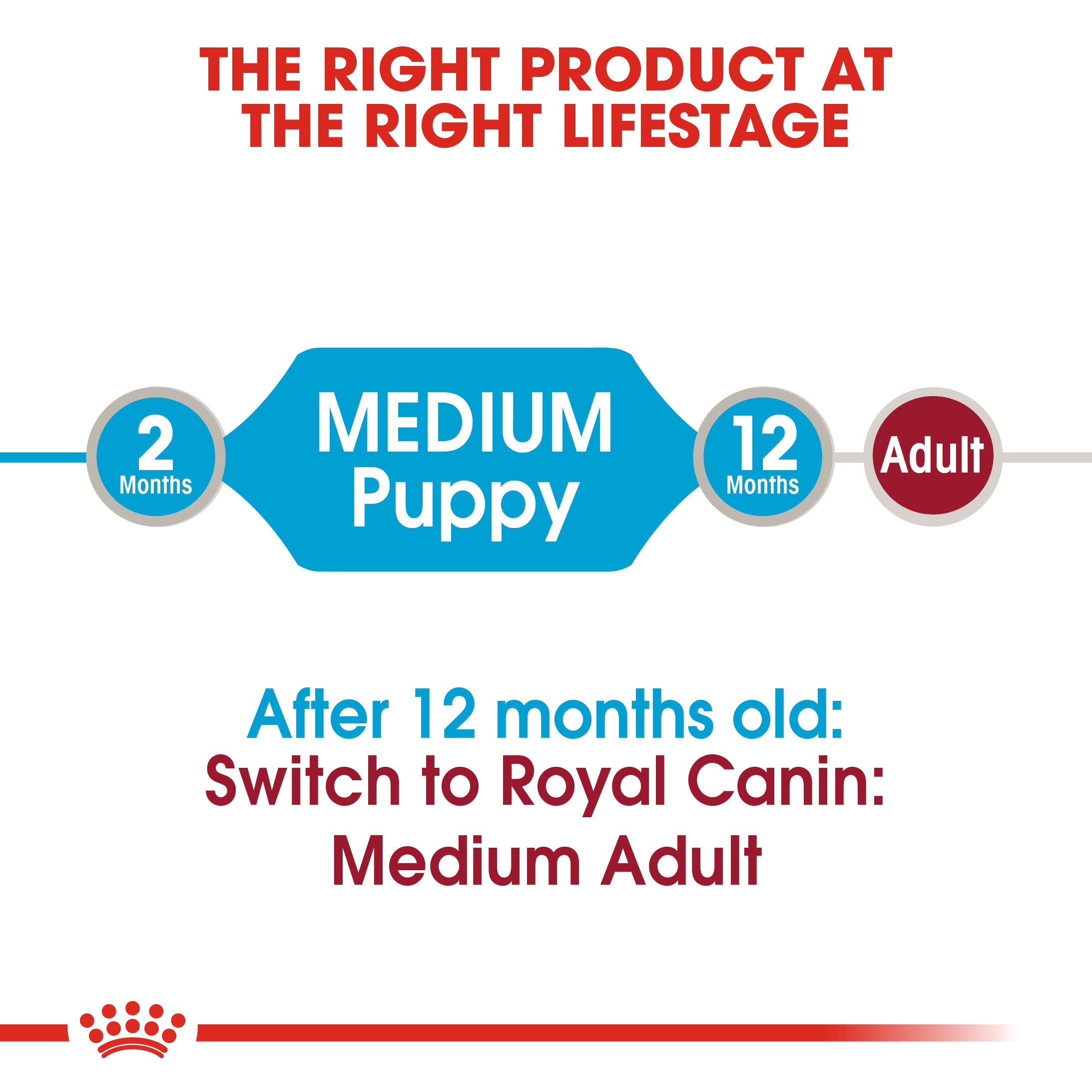 Medium Puppy in Gravy Wet Food, 140g x 10 Pack