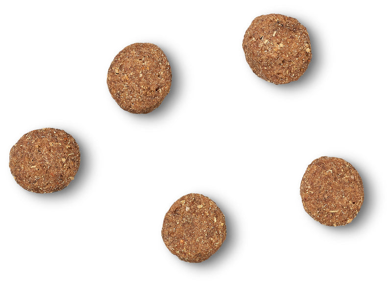 Complete Dry Lamb & Rice Puppy Food - 15KG