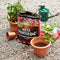 All Plant Compost 26.7L