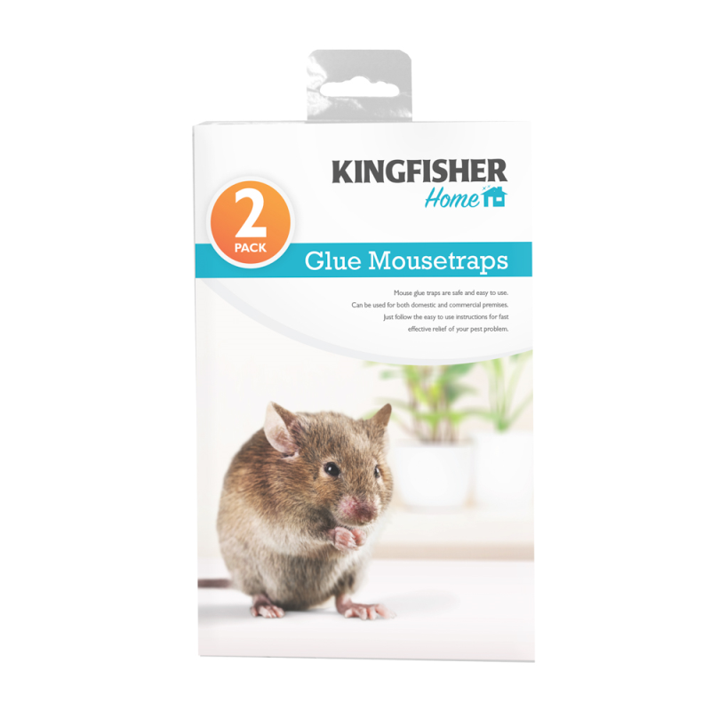 Mouse Glue Traps (2 Pack)