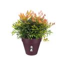 Loft Urban Round Wheels 40cm Pot - Brique
