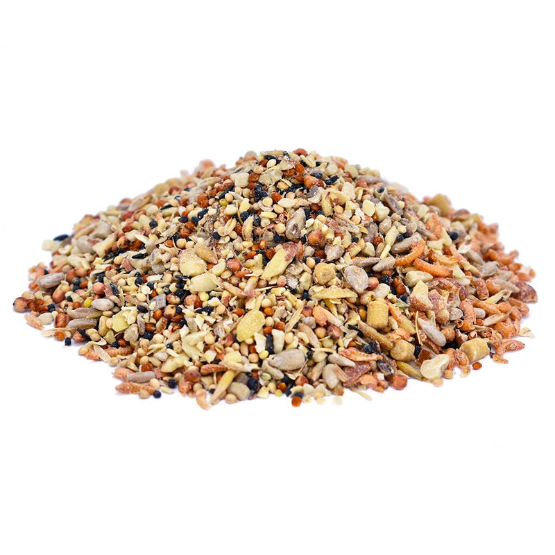 Blue Tit Bird Food 1kg