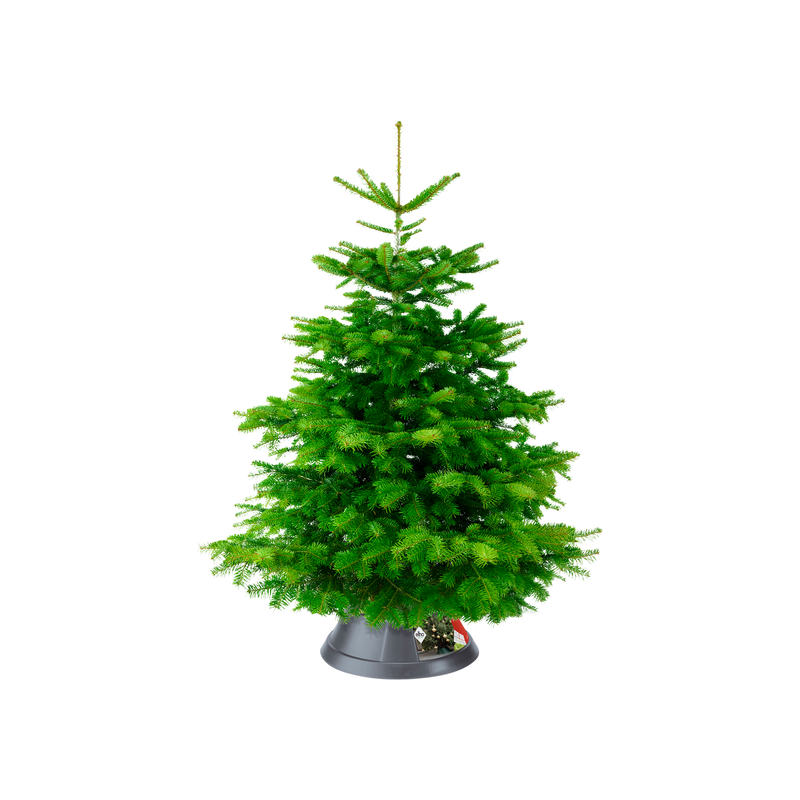 Nordman 39cm Indoor Christmas Tree Stand - Anthracite