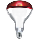 Infra Red Extended Life Lamp - Ruby