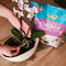 Orchid Compost Potting Mix Enriched with Seramis - 8 Litre