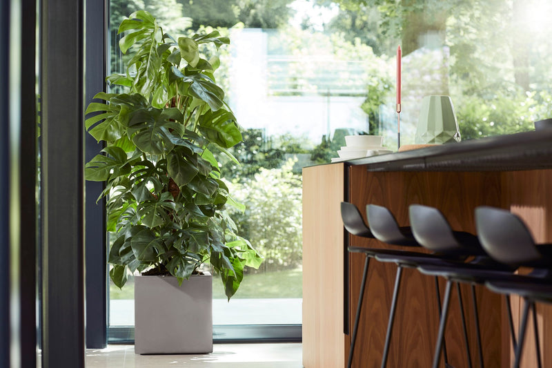 Vivo 40cm Square Plastic Indoor & Outdoor Planter with Wheels - Matt Warm Grey