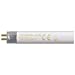 35W T5 58" Fluorescent Bulb - Cool White