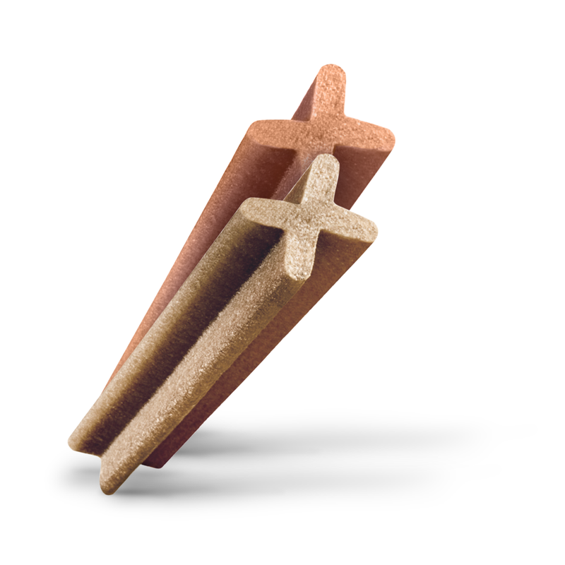 DentaStix Daily Dental Chews Large Dog 21 Sticks