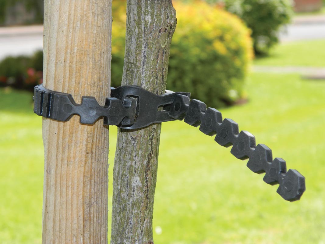 61cm Tree Ties