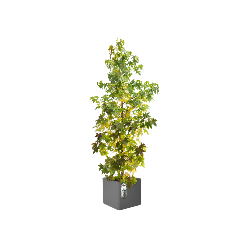 Pure 50cm Soft Brick Plastic Indoor & Outdoor Plant Pot with Wheels - Anthracite