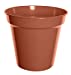 10" Terracotta Garden Pot