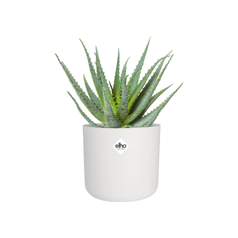 B.for Soft Round 25cm Pot - White