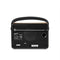 Stream 94L - Smart Radio - Black / Natural Wood