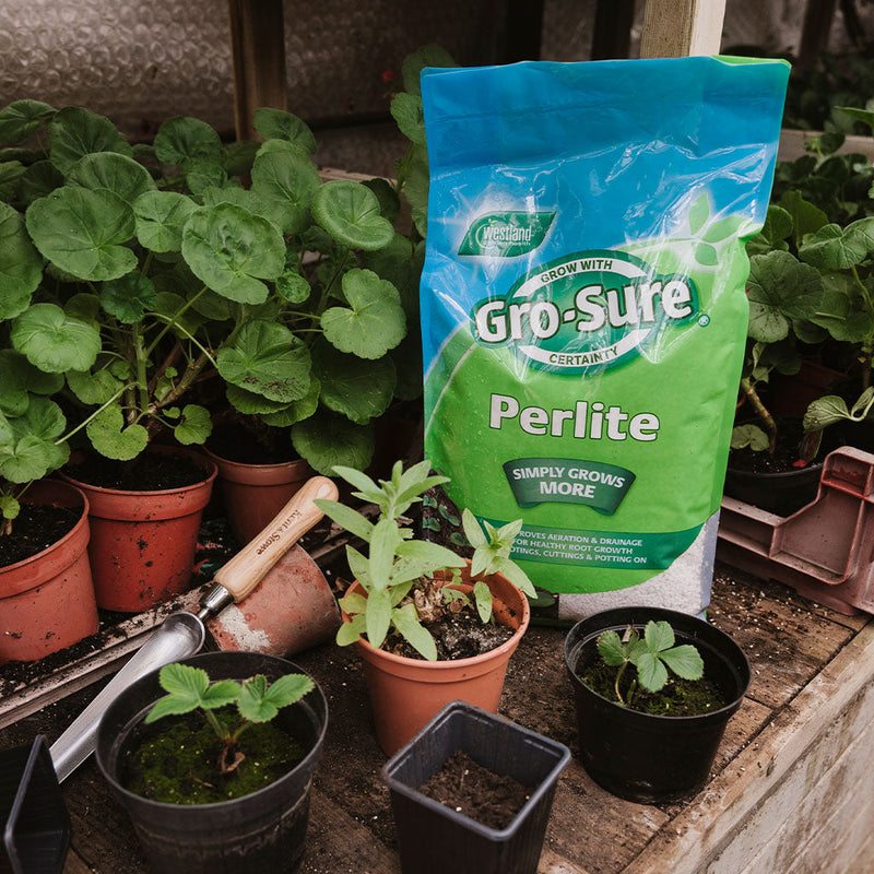 Perlite 10L