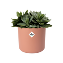 B.for Soft Round 16cm Pot - Delicate Pink