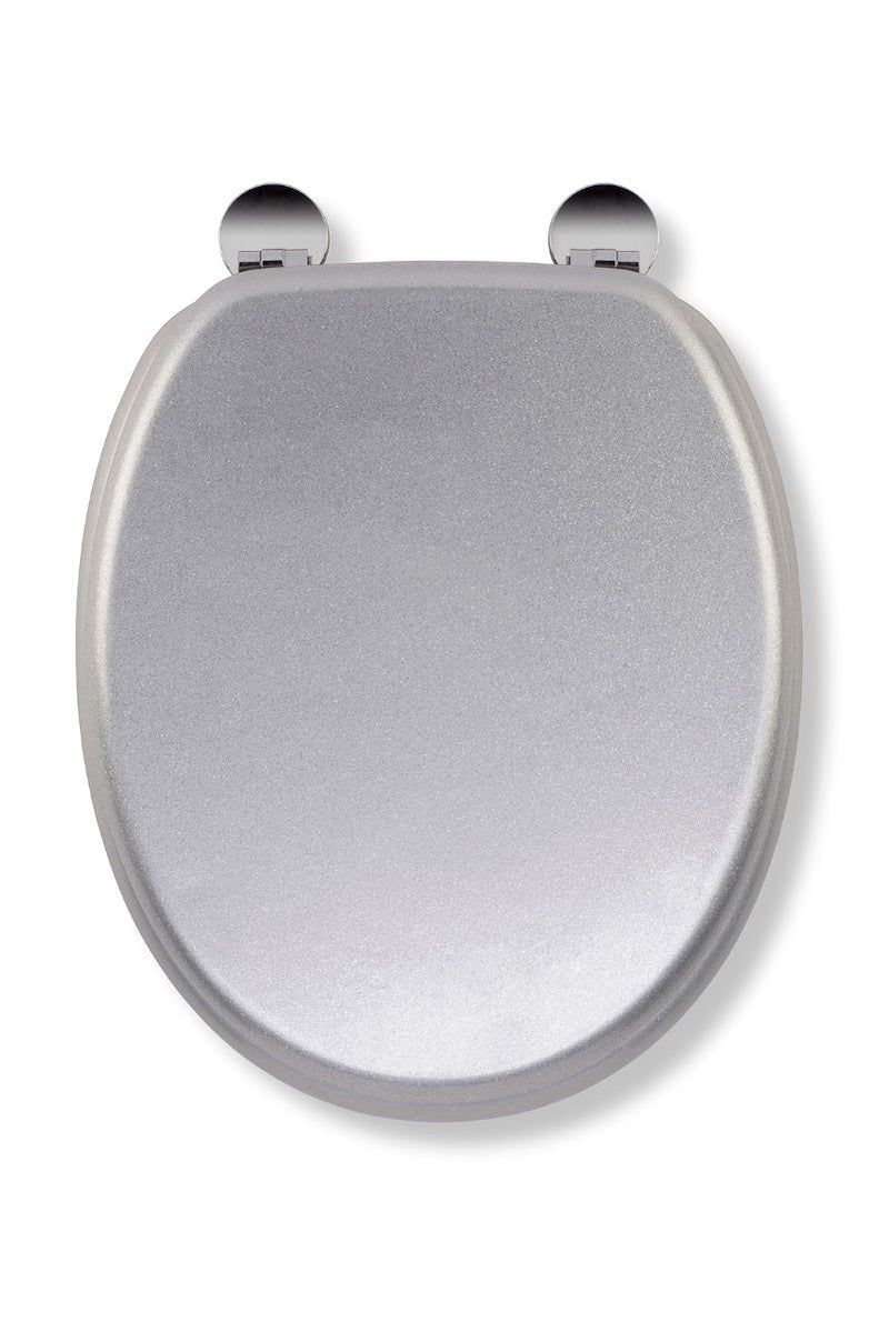 Fix Toilet Seat - Silver Quartz