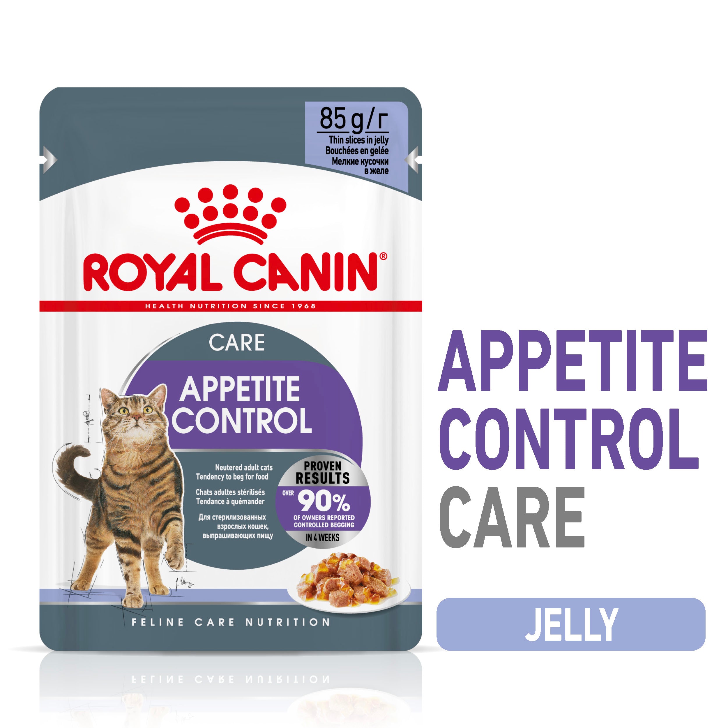 Appetite Control Care in Jelly Adult Wet Cat Food, 85g x 12 Pack