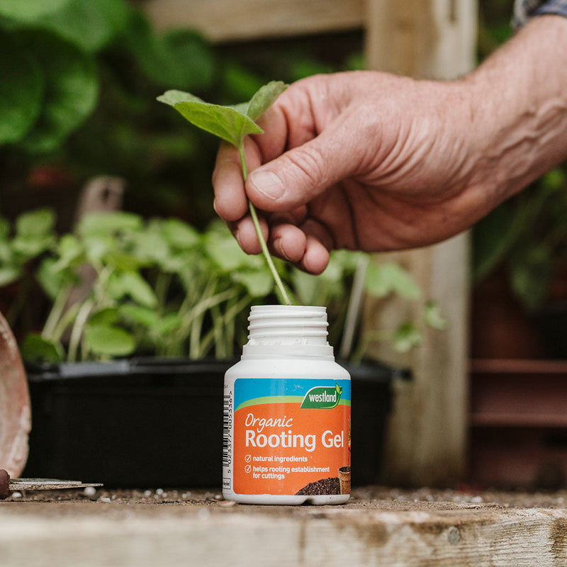 Rooting Gel - 150ml