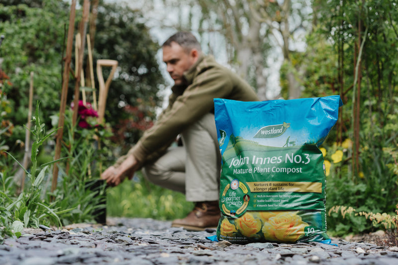 John Innes No 3 Mature Plant Compost with 4 month feed - 10L