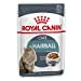 Hairball Care In Gravy Adult Wet Cat Food, 85g x 12 Pack