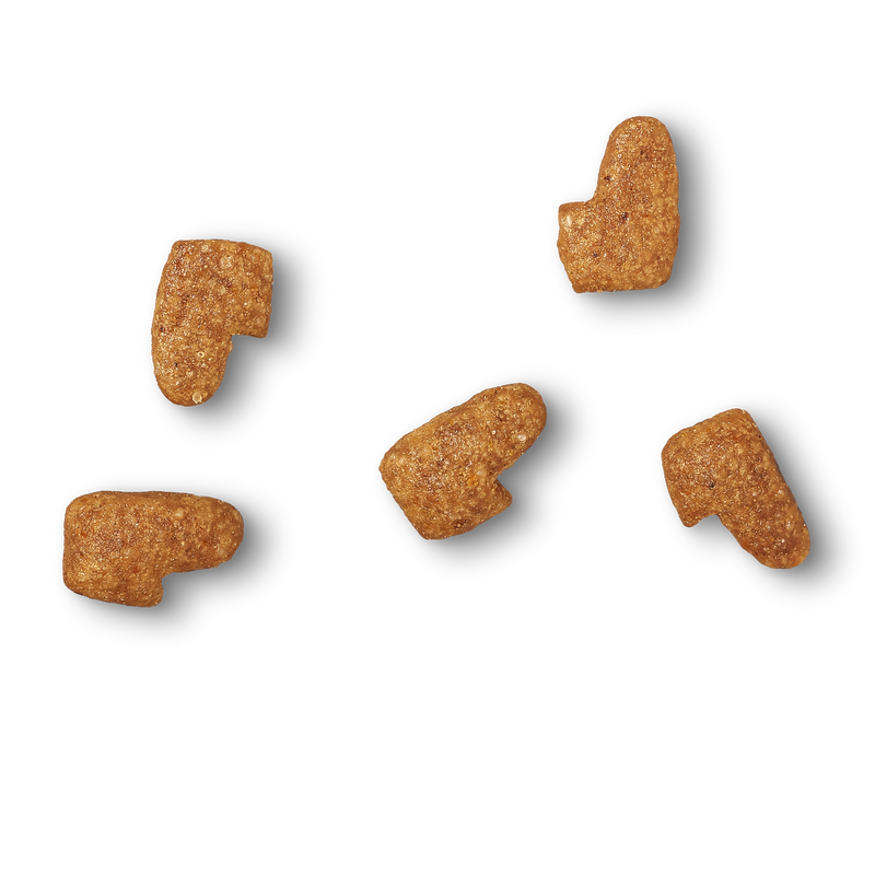 Adult Fish 300g