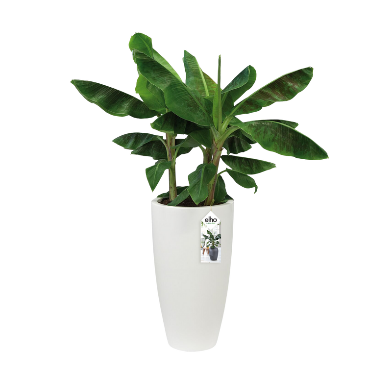 Elho Pure Soft Round High 35 - Flowerpot - White - Indooroutdoor! - Ø 34.50 x H 61.50 cm