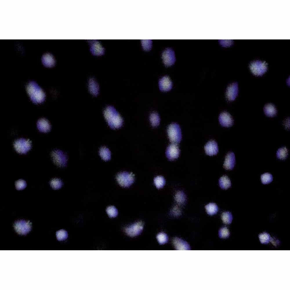 18cm Snowfall Christmas LED Projector with White LEDs