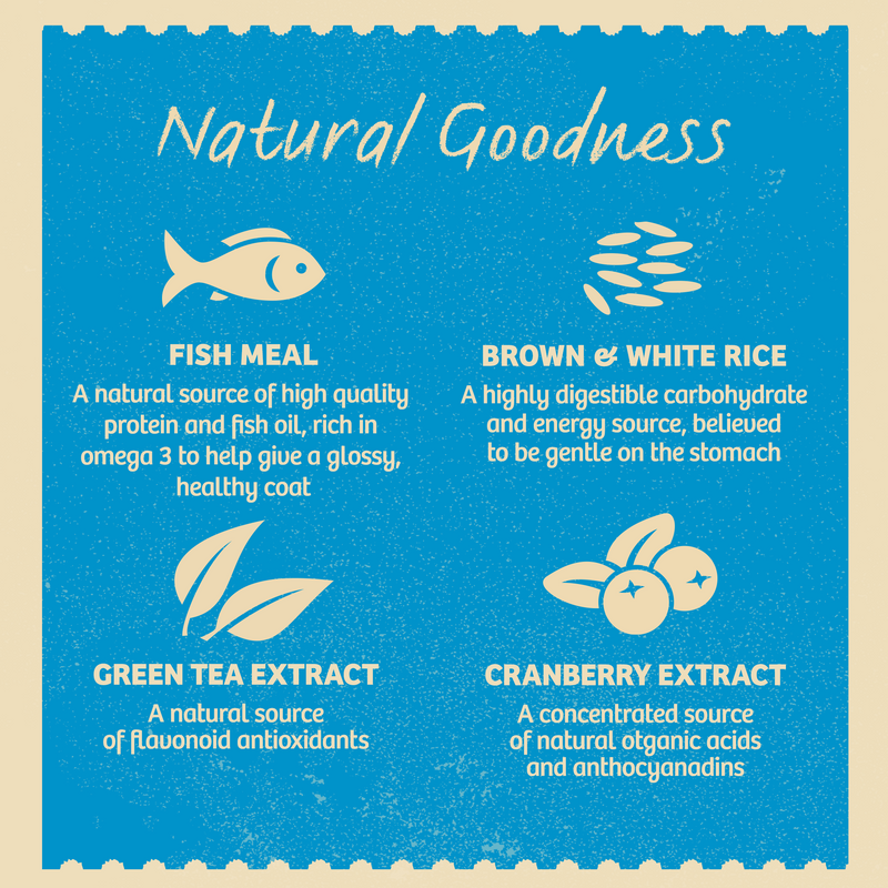 Adult Small Breed Fish & Rice 7.5kg