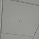 LED Non-Maintained Emergency Downlight