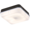 28W IP65 Square Bulkhead with Black Base - Opal Diffuser