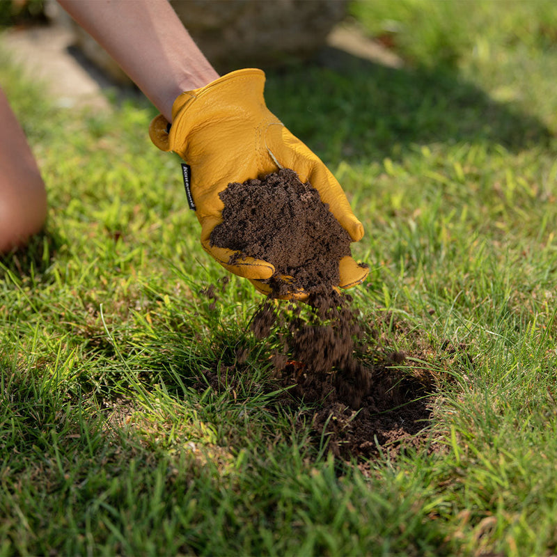 Seed & Cutting Compost 30L