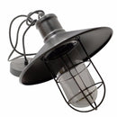 Calgary Wire Guarded Traditional Rustic Iron Ceiling Light