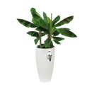 Pure 40cm Soft Round High Plastic Indoor & Outdoor Plant Pot - White