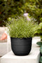 Fuente Rings 30cm Round Plastic Indoor & Outdoor Plant Pot - Onyx Black