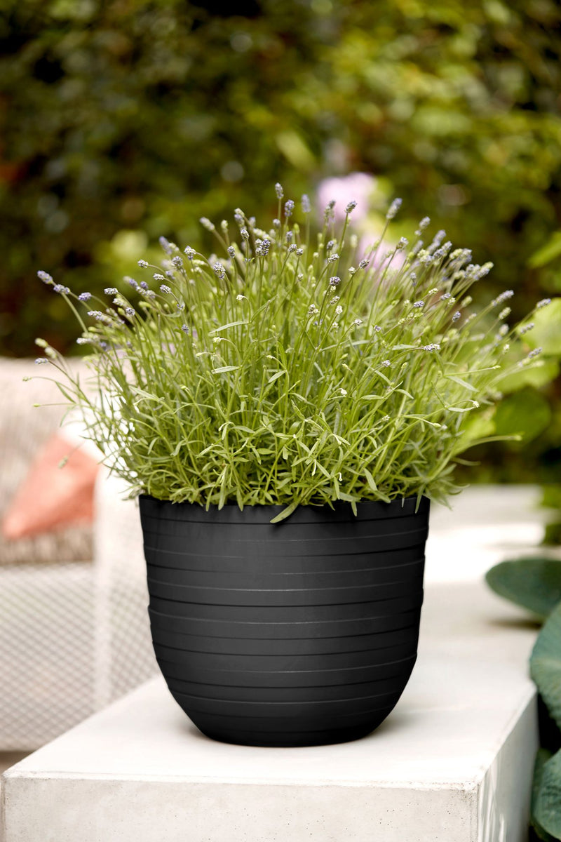 Fuente Rings 30cm Round Plastic Indoor & Outdoor Plant Pot - Onyx Black