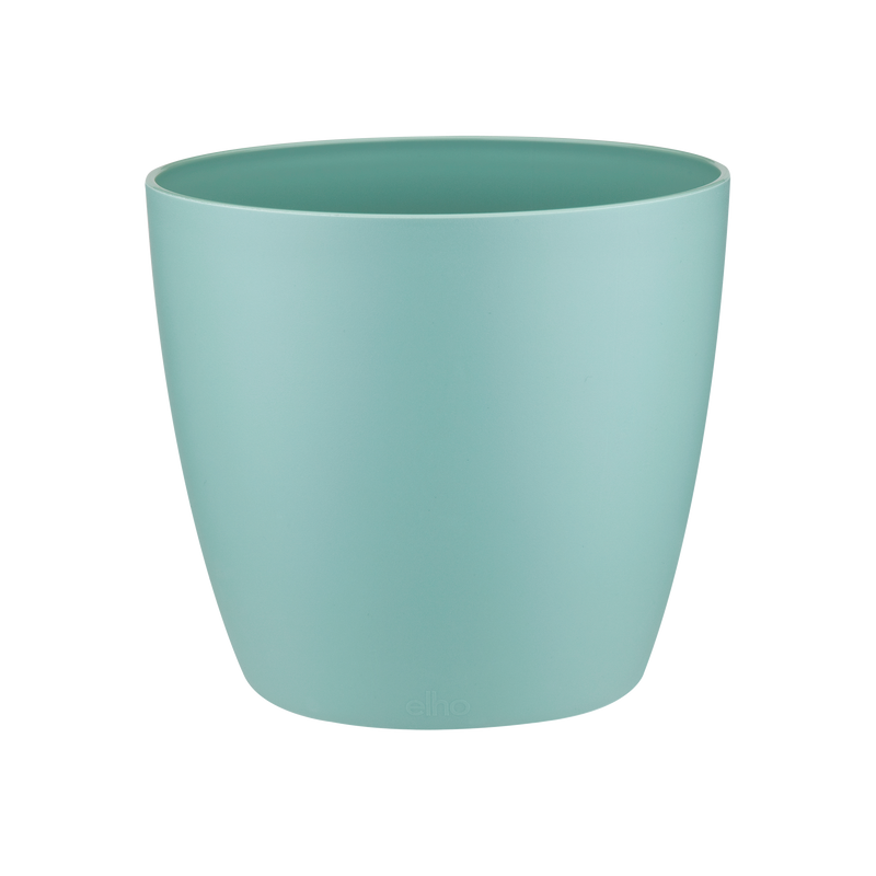 Brussels Round 14cm Pot - Mint