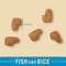 Adult Fish 300g