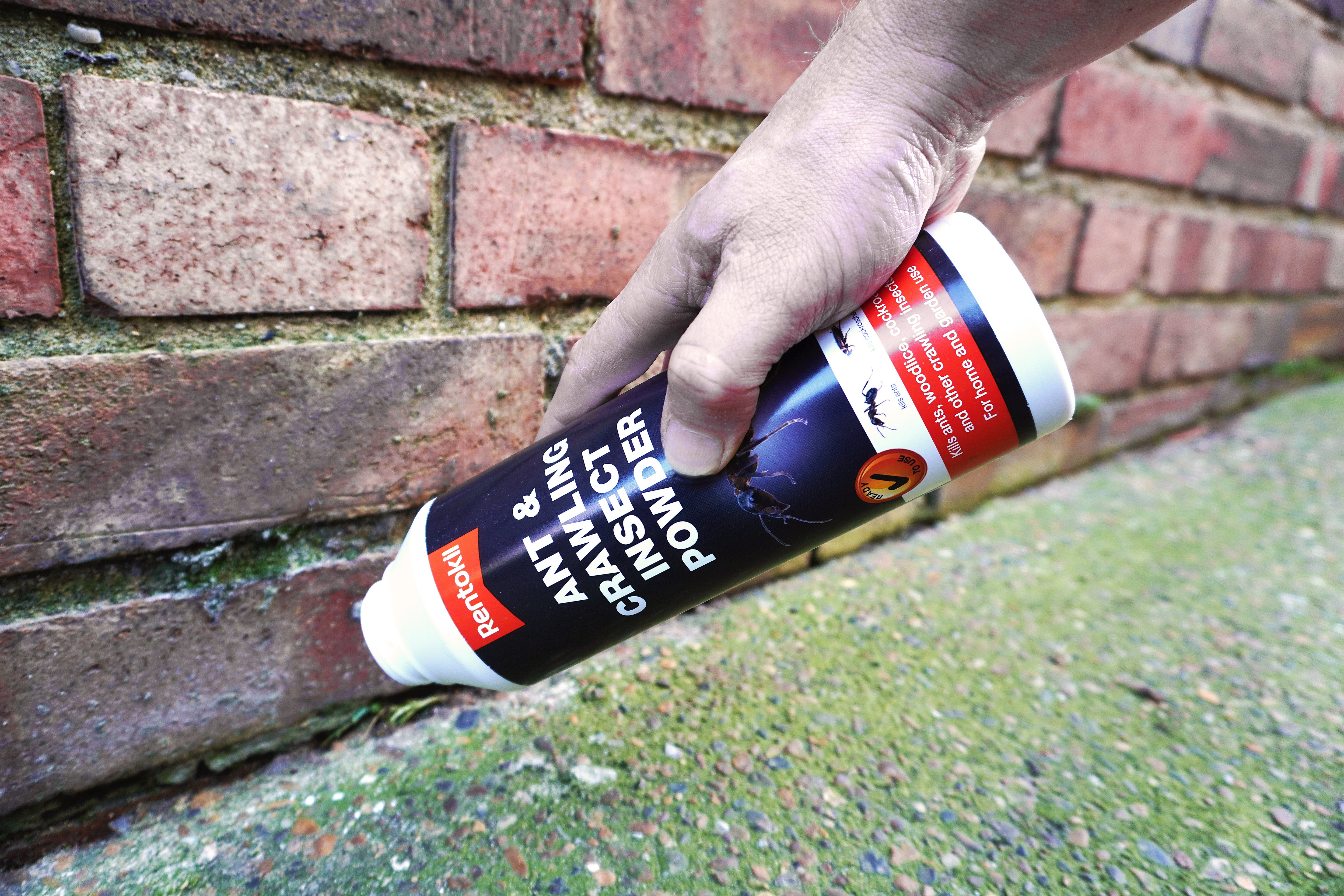 Ant & Crawling Insect Killer Powder - 300g