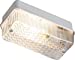 IP54 Edison Screw Oval Bulkhead With Wire Guard - White