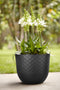 Fuente Grains 30cm Round Plastic Indoor & Outdoor Plant Pot - Onyx Black