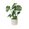 White B.for Soft Round Flowerpot - 30cm